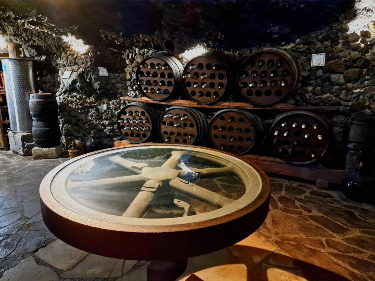 Finca Los Loros Icod De Los Vinos By Hrtenerife Net Santa Cruz de Tenerife Eksteriør bilde